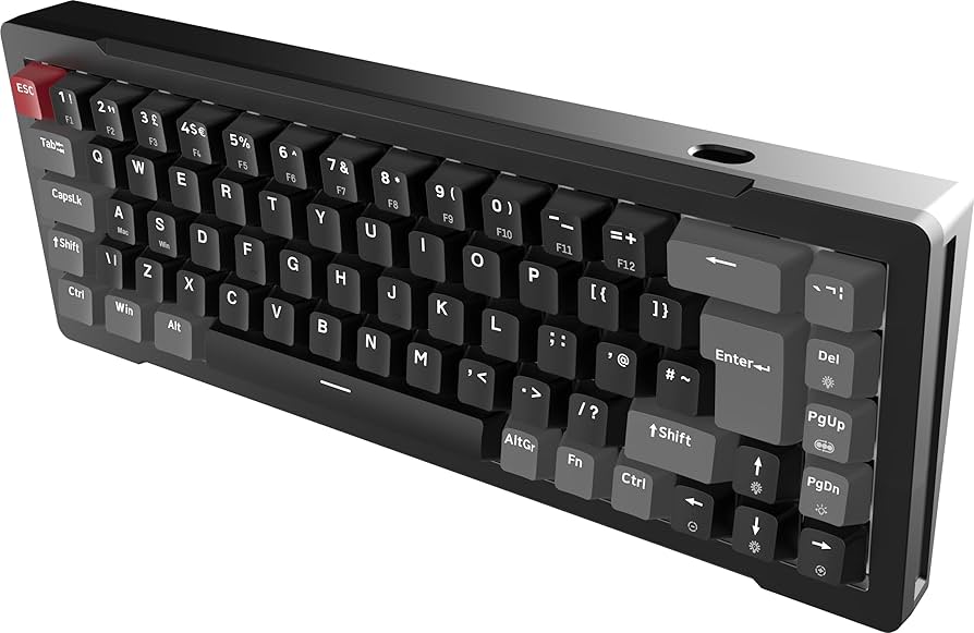 RAIJINTEK　キーボード Amazon.com: Raijintek MGA-68 Black, 65% TKL Magnetic Switch