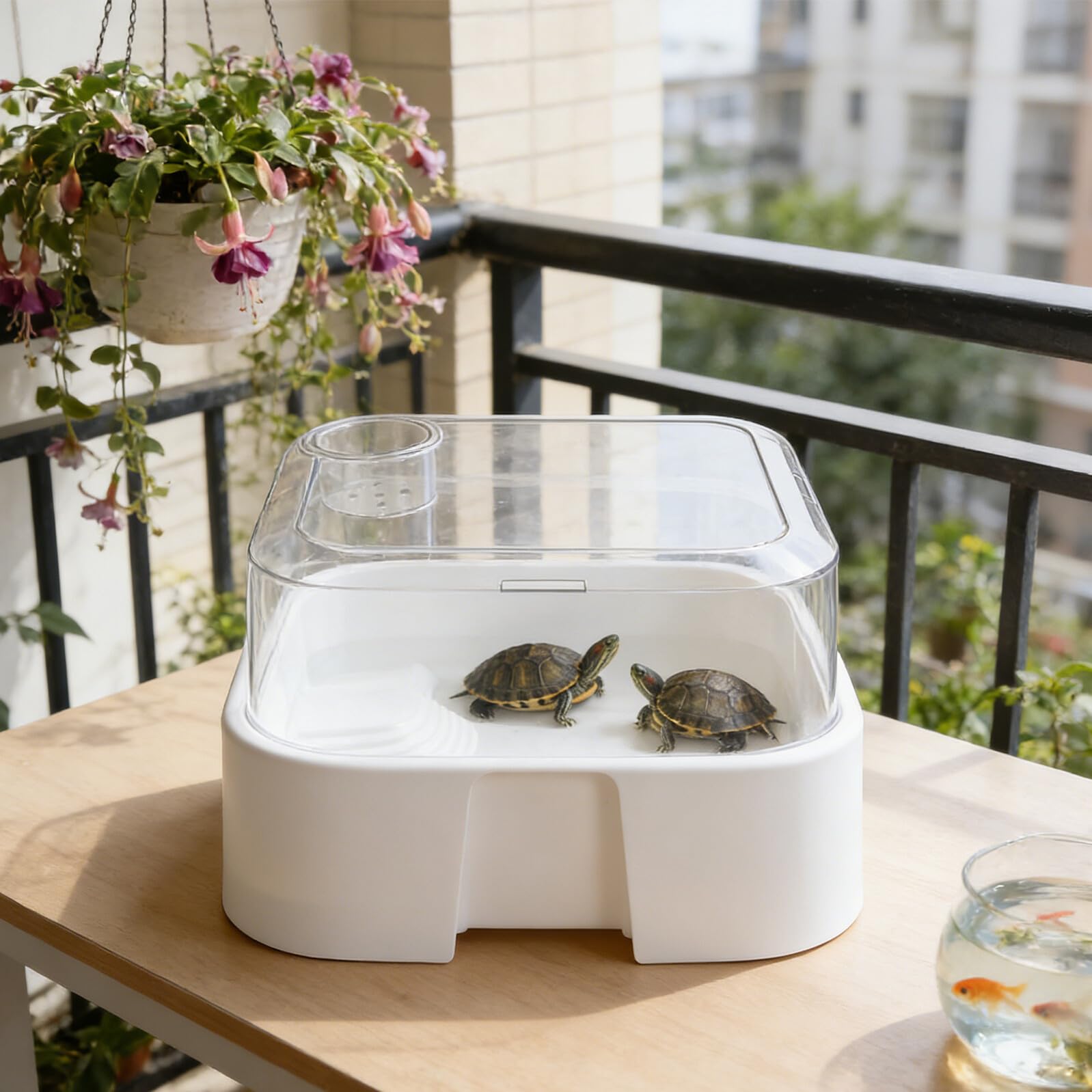 Levemolo Aquarium pour Tortues Aquatiques avec Couvercle Anti-évasion, Petit Habitat en Plastique Transparent, Plateforme de Repos Intégrée pour Reptiles, pour Tortues d'eau et Amphibiens,