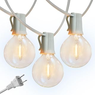 Brightech Ambience Pro LED String Lights - 26 Ft Commercial Grade Patio Lights Outdoor Waterproof - 12 Globe Porch String Lights for Outside, Backyard - 1W Vintage Edison Bulbs, Shine Bright, White