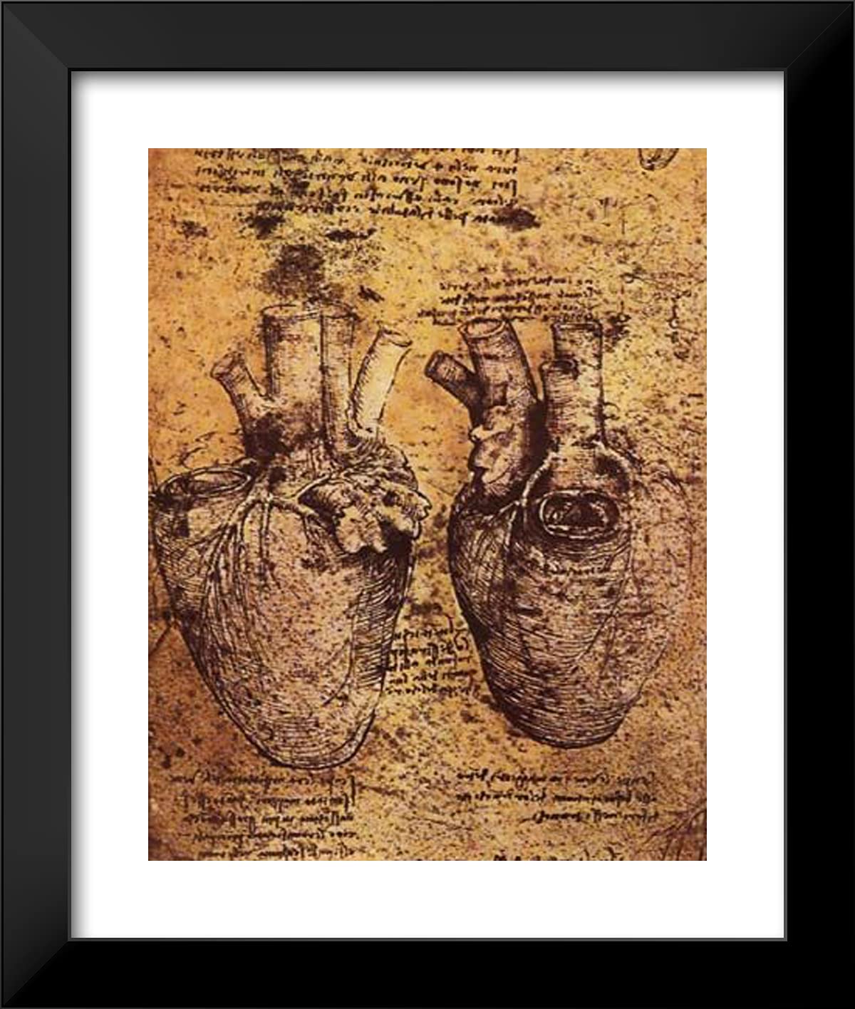 ArtDirect Da Vinci, Leonardo 20x23 Black Modern Framed Art Print Titled: Drawing of The Heart and its Blood Vessels, from The Anatomical Notebooks