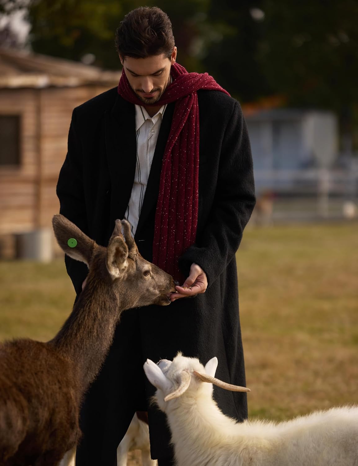 Mens Wool Scarf Winter Knitted Scarves Warm for Cold Weather with Gift Box - Image 2