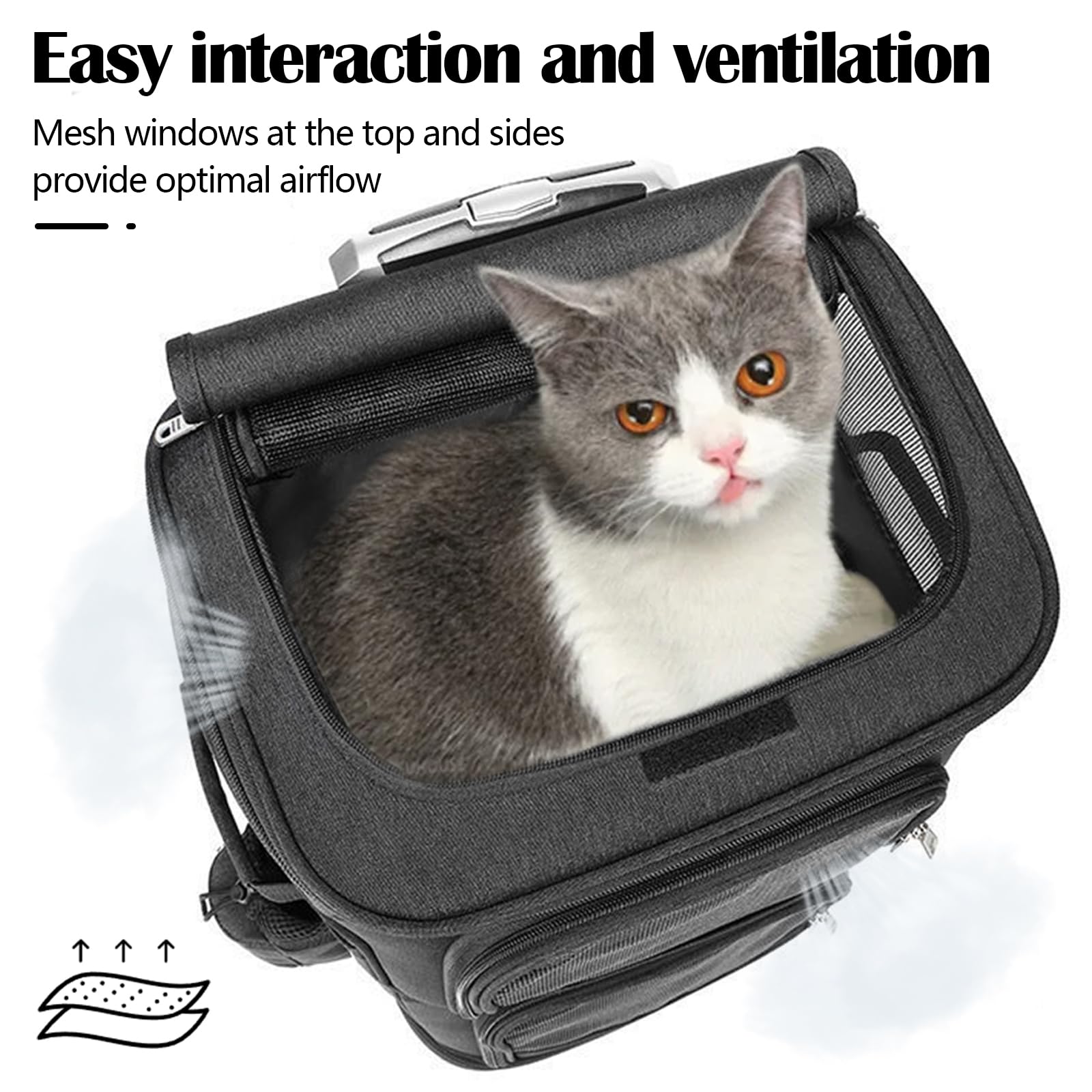 Sac à Dos Chat Chien, Sac à Dos de Transport à Double Compartiment avec Roues Amovibles Sacs Transport Chat Chien Respirant pour 2 Petits Chats et Chiens Chiot