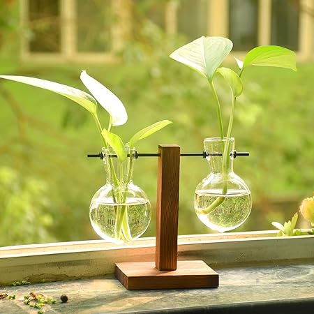 Amazon Co Jp Sx 水耕栽培花瓶 電球形ガラス瓶 木製枠 花瓶 卓上花瓶 一輪挿し 花瓶花器 シンプル おしゃれ テラリウム容器 インテリア飾り ガラス花瓶 プレゼント ホーム キッチン