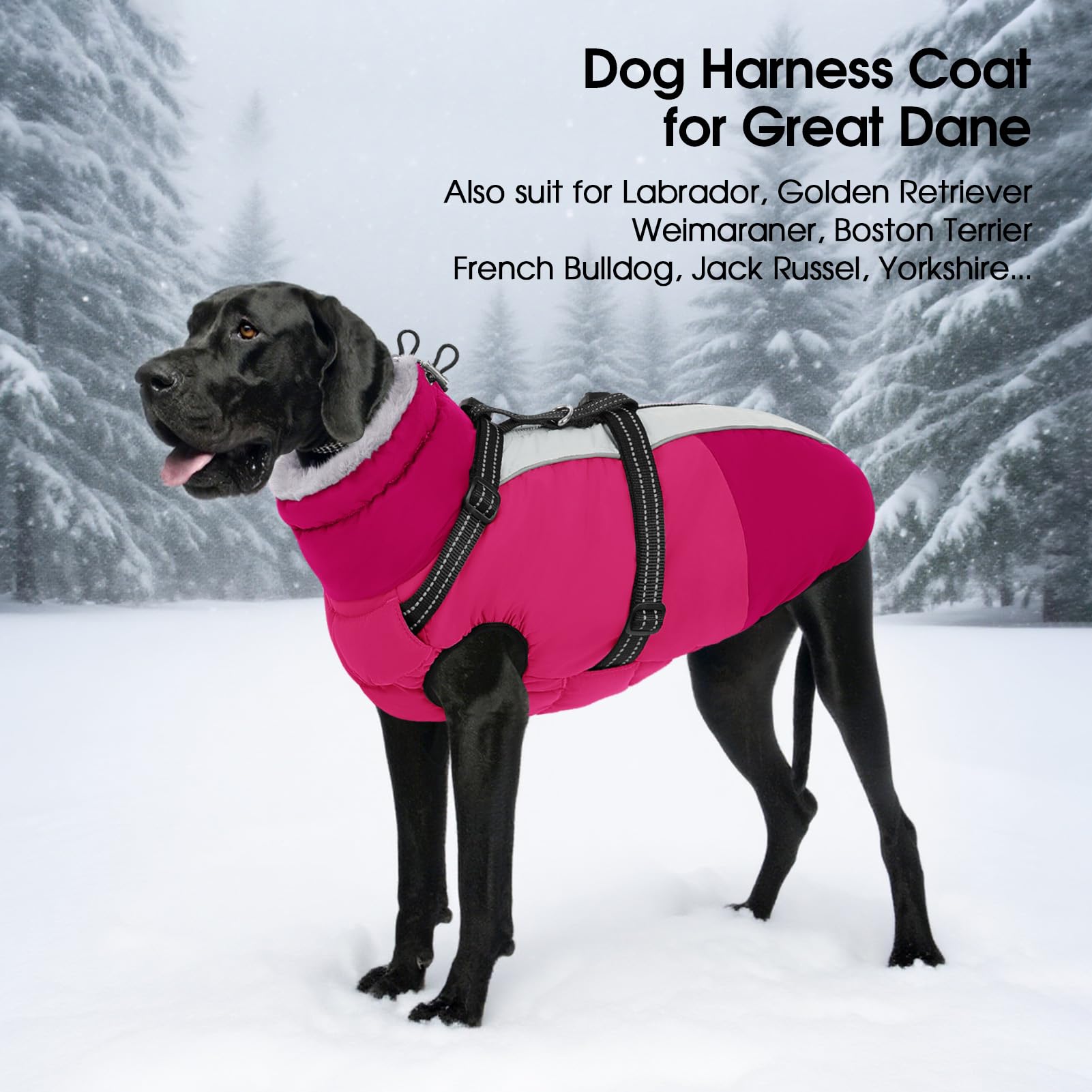 SUNFURA Chaqueta para perro pequeño con arnés integrado, chaqueta cálida para perro con cierre, chaqueta reflectante de invierno para perros pequeños, Schnauzer, Yorkshire