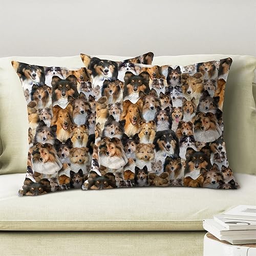 Miniatura 3 de 2 fundas de cojín con diseño de perro Sheltie, con temática de raza de perro, para sofá, cama, decoración del hogar, regalos conmemorativos de