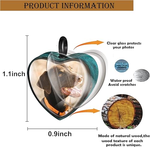 Miniatura 9 de Farfume Collar personalizado con urna para mascotas, para perro, gato, cenizas, cremación, conmemorativo para mascotas, grabado con foto, texto,