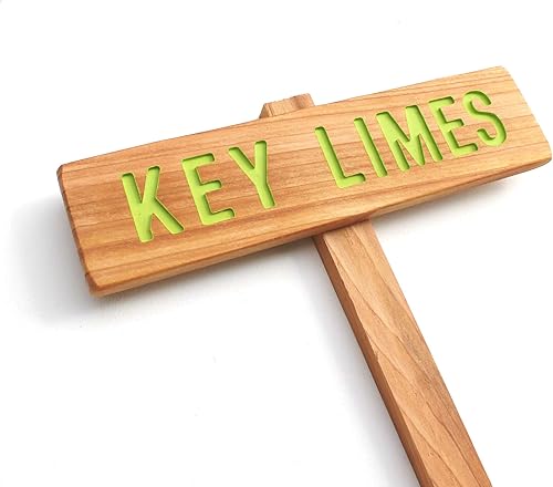 KEY LIMES Fruit Tree Marker, Lime Green Sign, Garden Sign, Cedar Wood Routed Sign, Custom Garden Sign, Personalized Garden Marker