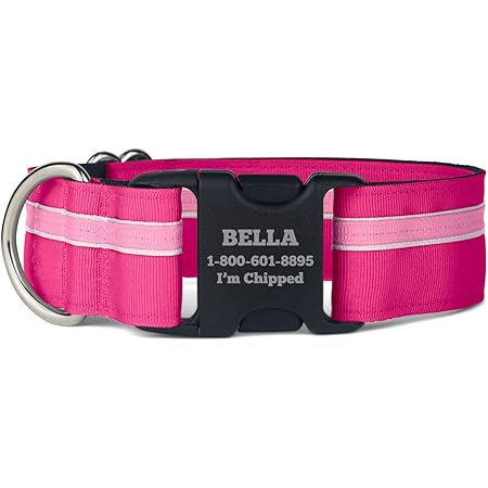 if it barks collars