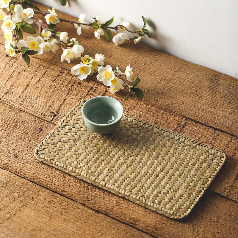 JYHGVN 27/30 cm 1/2pcs Plawemats Hechos a Mano Tejidos rectangulares, Resistentes al Calor, manteles de Comedor Lavables, vajilla sin Deslizamiento, una Elegante presentación de Mesa