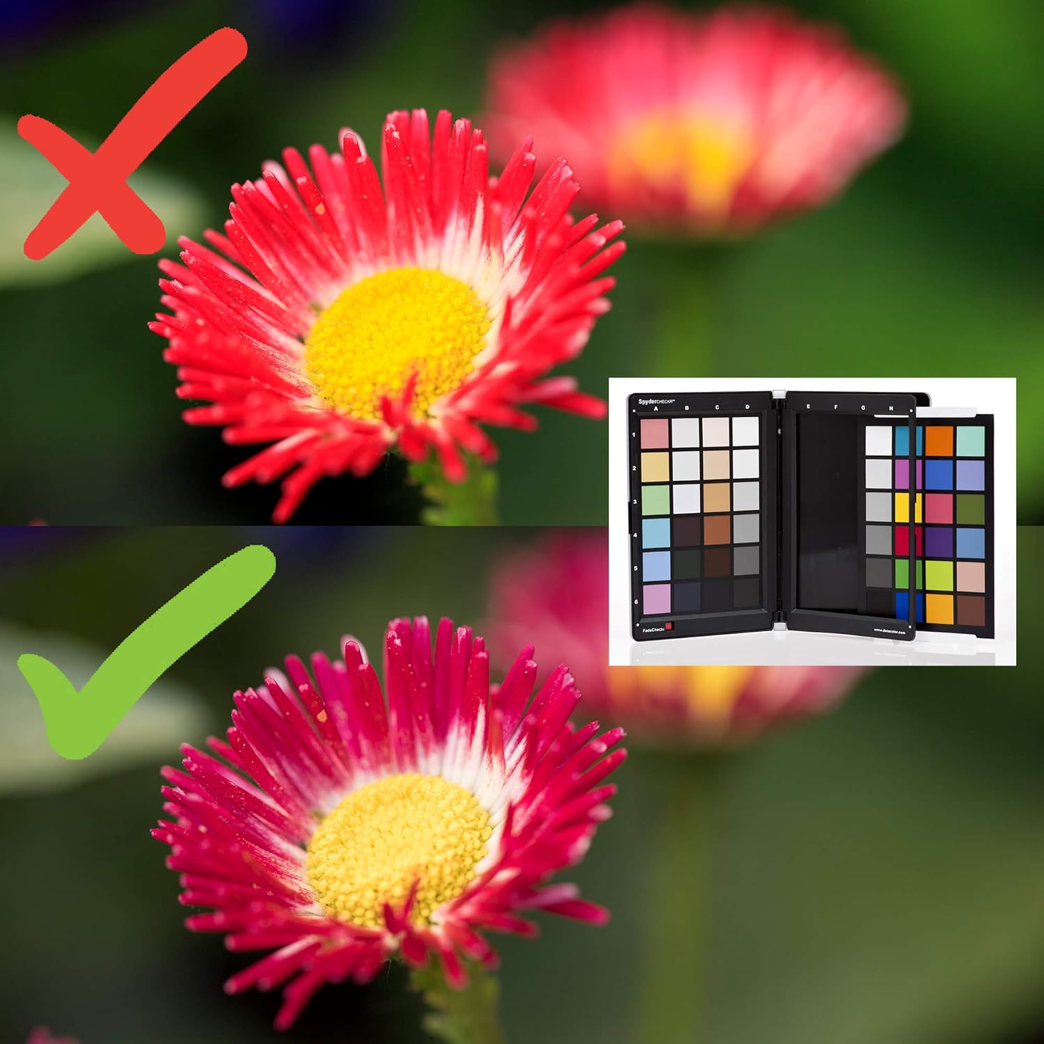 Datacolor Spyder X Capture Pro: Photo Tool Kit for Precision Color Control from Capture Through Editing