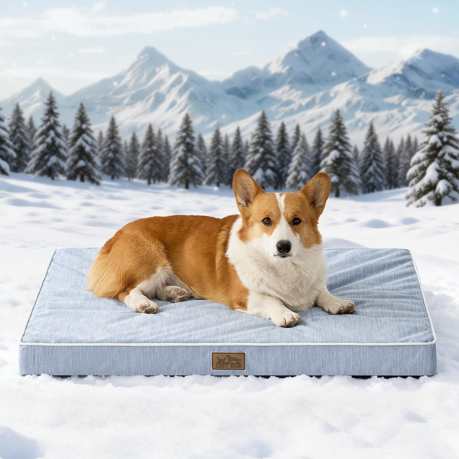COZY KISS Kühlende Hundebett für Kleine Hunde Katze, Q-Max>0.4 Waschbare Kühlmatte Hunde Mit Gel Orthopädische Schaum, Atmungsaktive und abnehmbare Hundematte, rutschfest