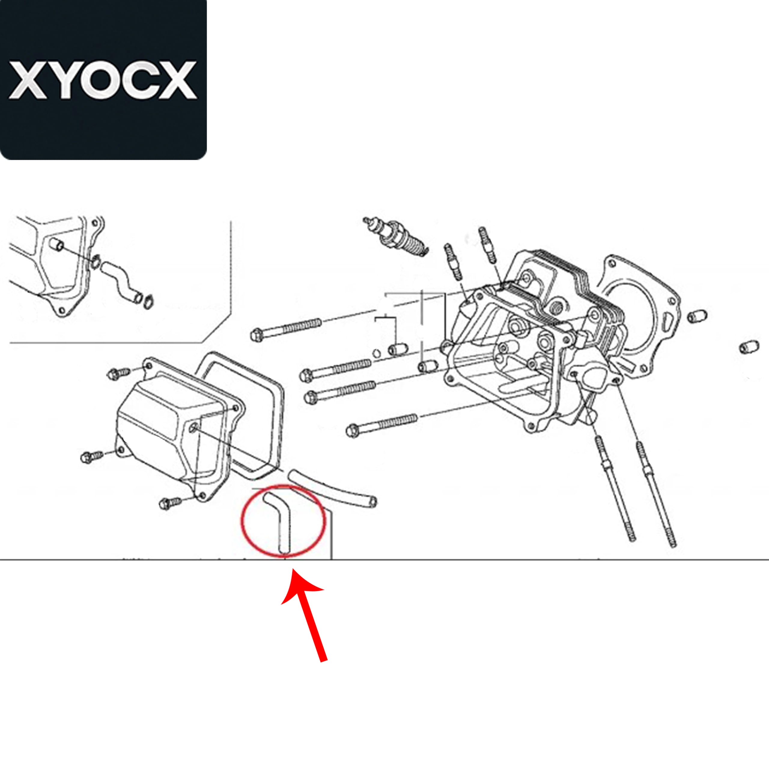 Amazon.com: xyocx Replacement Valve Tube Breather Hose For Honda
