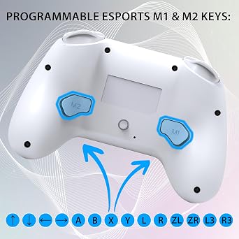 SUBSONIC Switch and Switch 2 Wireless Controller - LED Pro controller White | Pro Controller Gamepad for Nintendo Switch 2 and Nintendo Switch, Ergonomic, Programmable LED, Vibration Function, Gyroscope