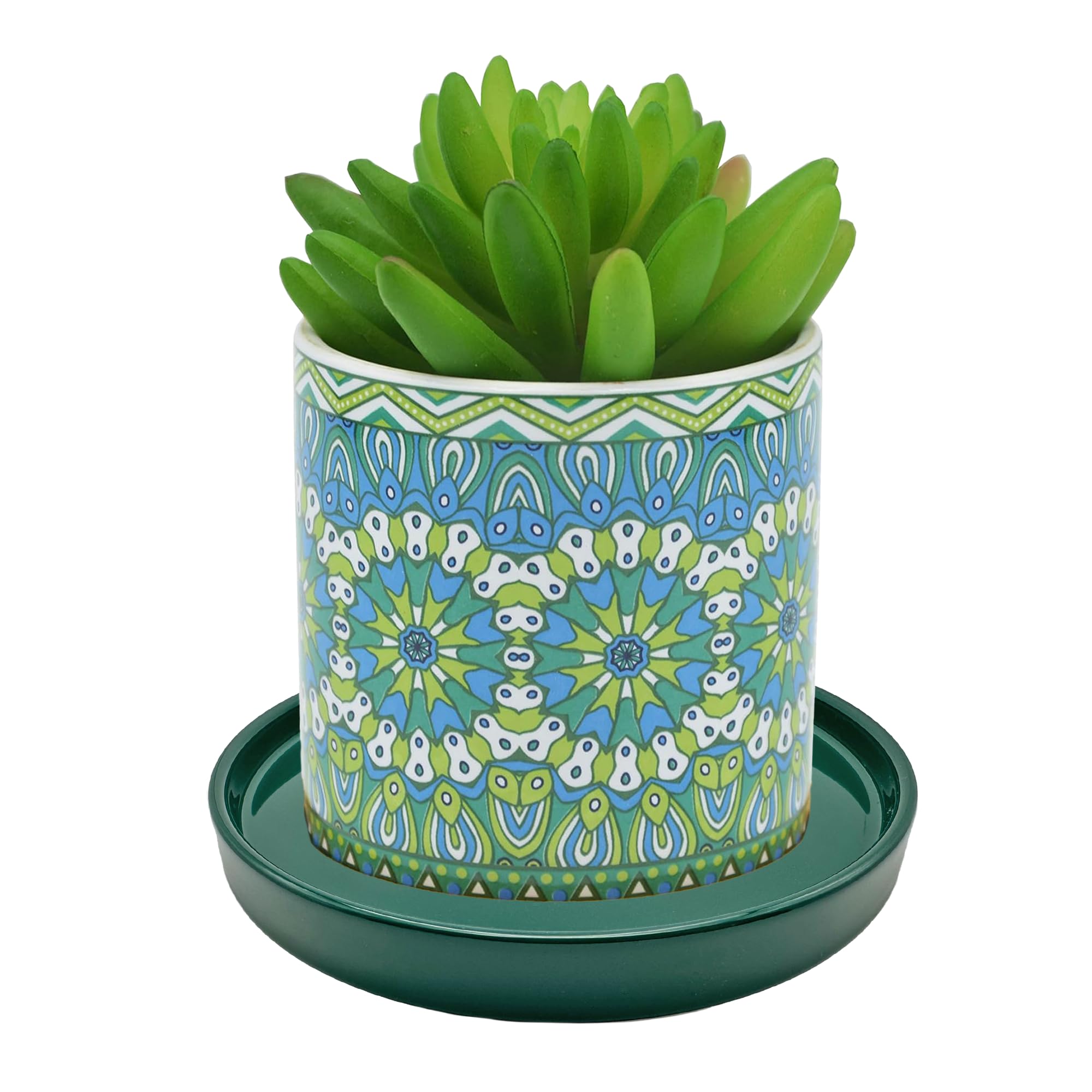 Amazon.com : 2 Pack Ceramic Plant Saucer Pot Tray 8 Inch, Planter