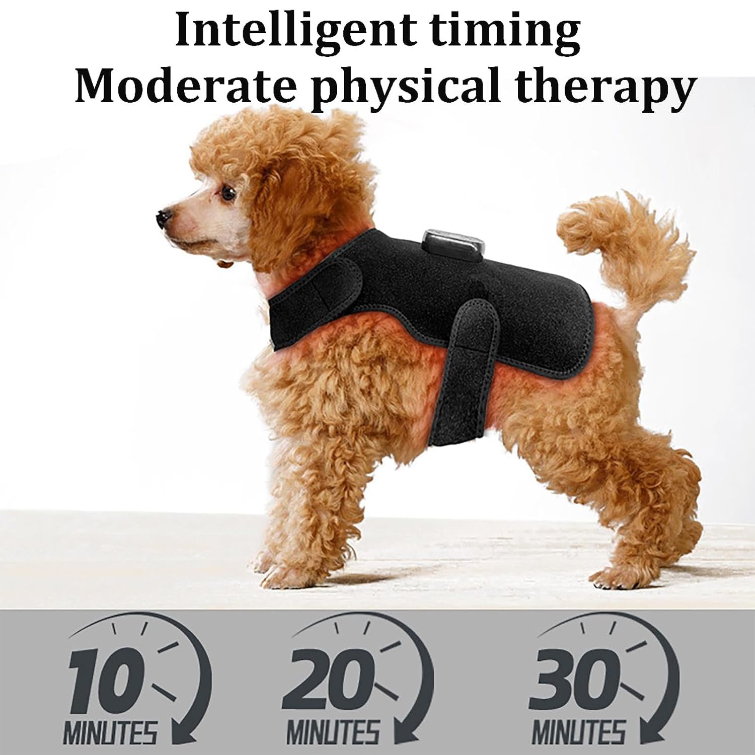 Cinturón De Terapia De Luz Roja para Mascotas, Dispositivo De Sanación por Infrarrojos De 660 NM Y 850 NM para Todos Los Perros Y Gatos, Control Mediante Panel Táctil, Seguro Y No Invasivo