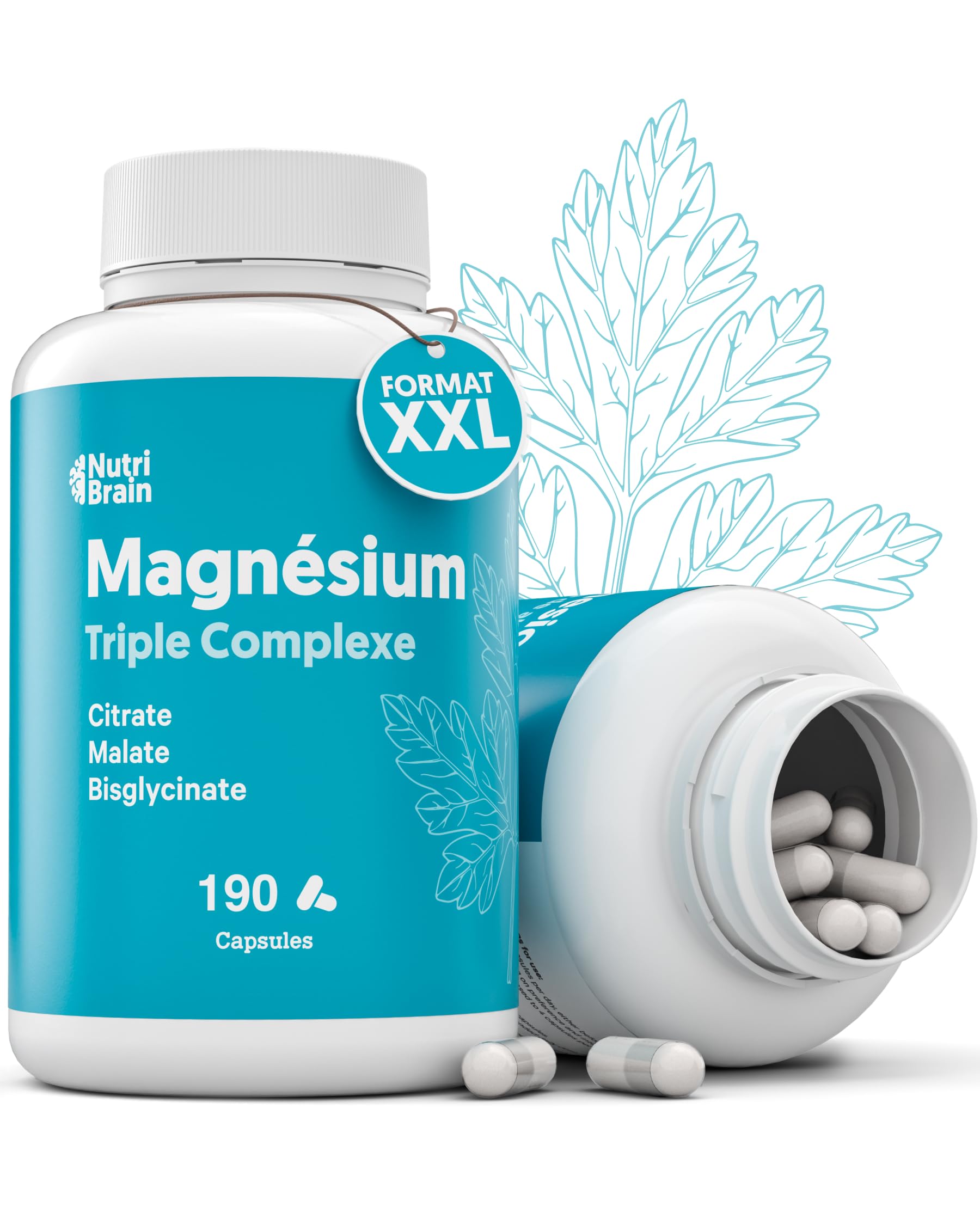 Magnésium Bisglycinate, Citrate et Malate | Complexe 3 en 1 | Anti-Fatigue et Anti-Stress | Haute Absorption et Biodisponibilité Maximale | 190 Gélules | Enérgie, Sommeil et Récupération Musculaire