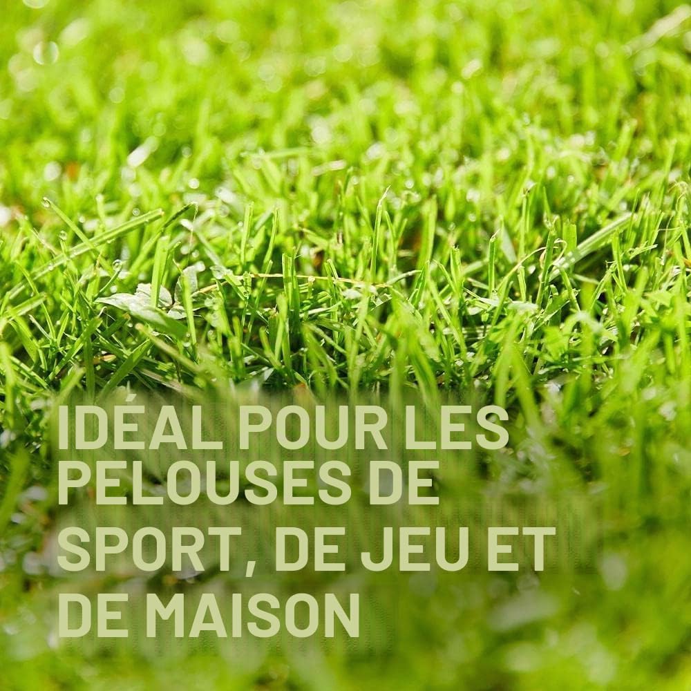 Compo Jeu et sport - Mélange universel de gazon - 5 kg - 250 m²