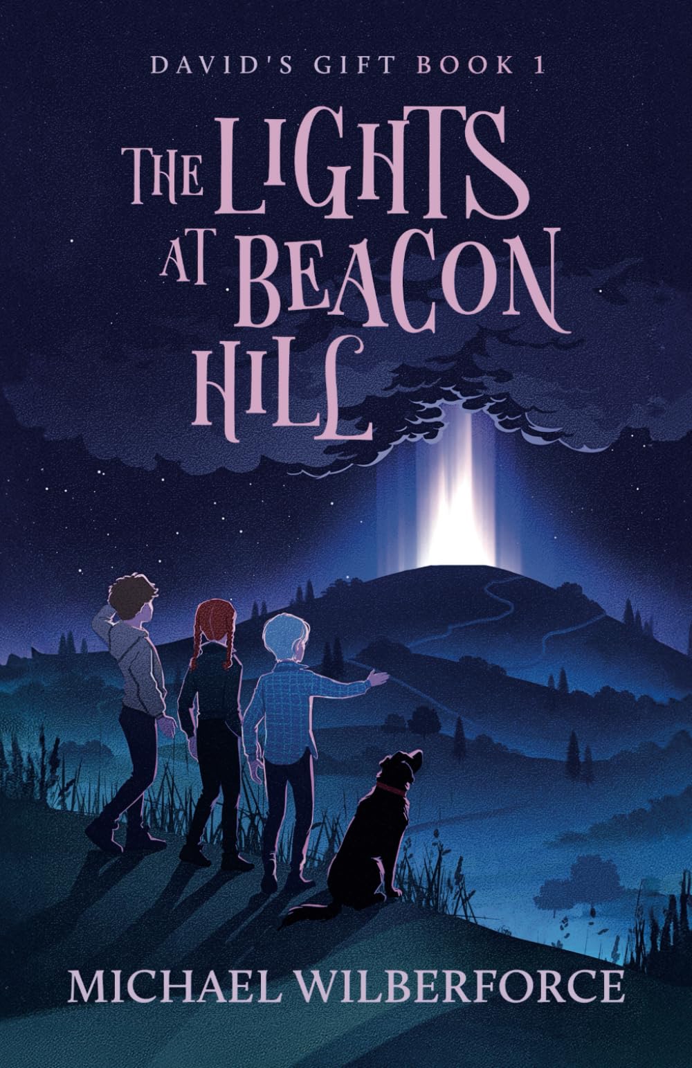 The Lights at Beacon Hill: 1 (David's Gift)
