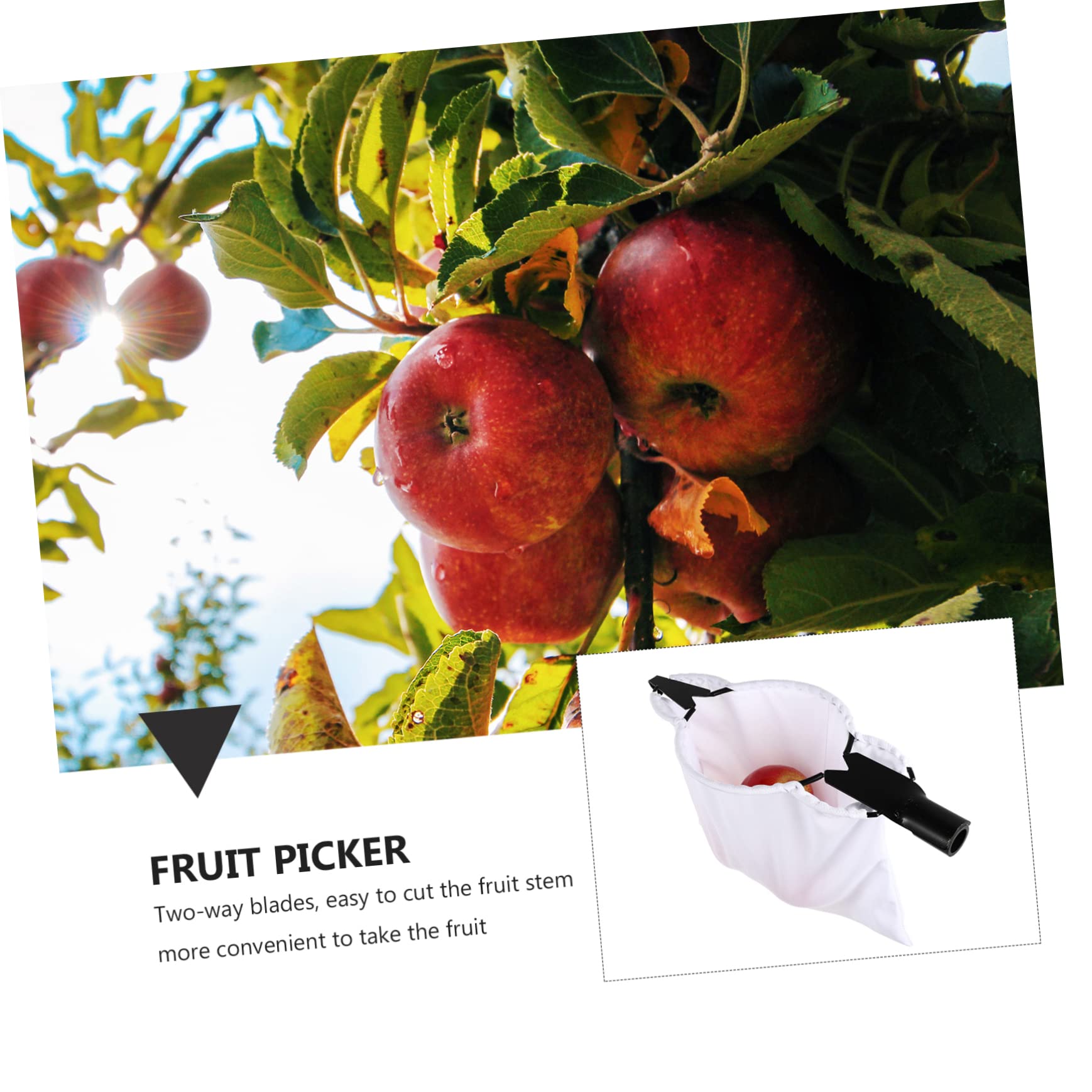 Toyvian Raccoglitore Telescopico per Frutta in Acciaio Inossidabile Cestello Raccogli Frutta Pratico e Leggero per Raccolta di Pesche e Pere