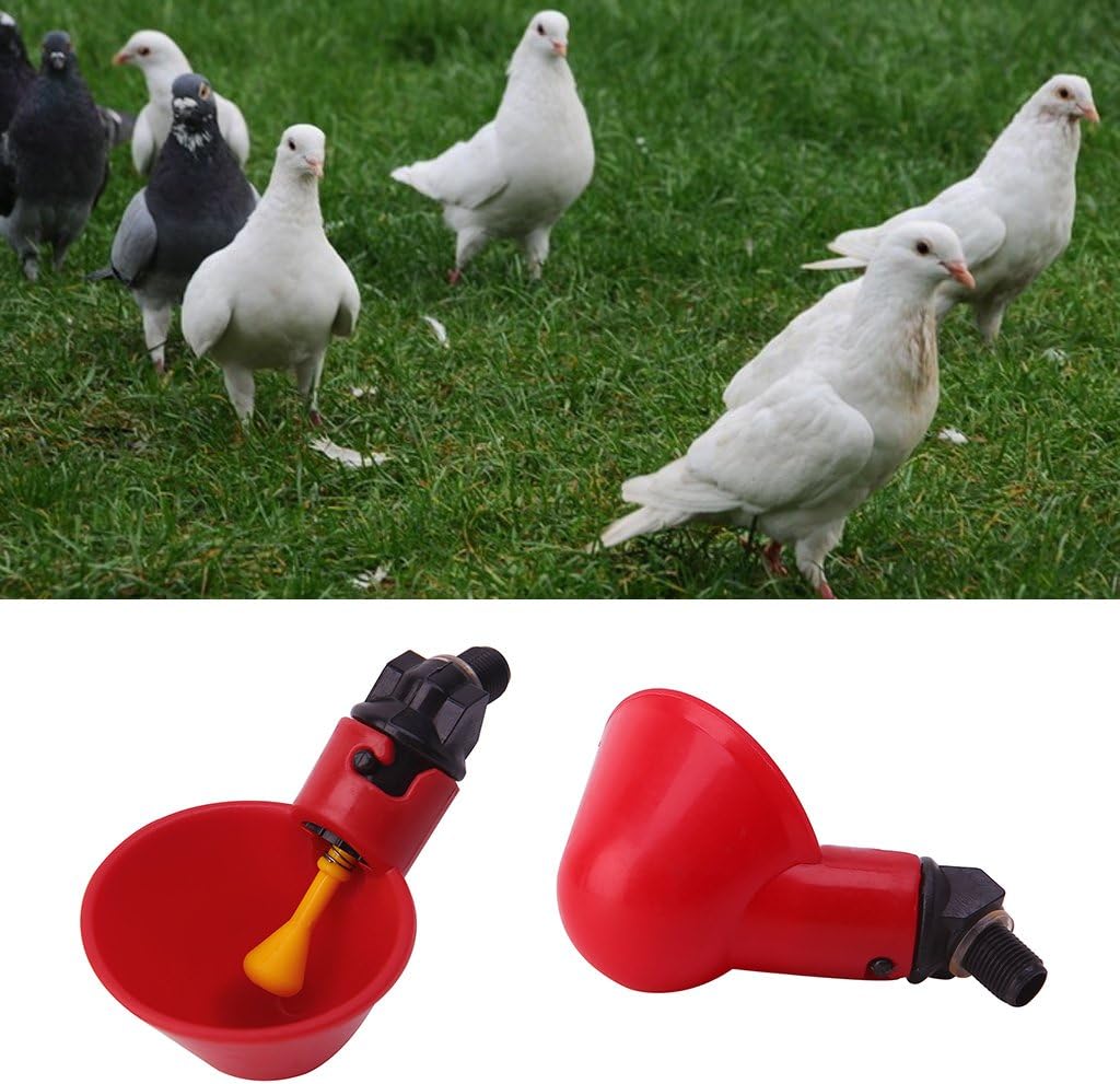 Gubenm Bird Bath, Poultry Water Drinking Cups Plastic Poultry Chicken Chicken Feeder Automatic Drinker