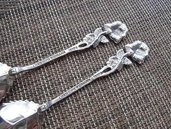 Amazon.co.jp: クリストフウィドマン CHRISTOPH WIDMANN 純銀