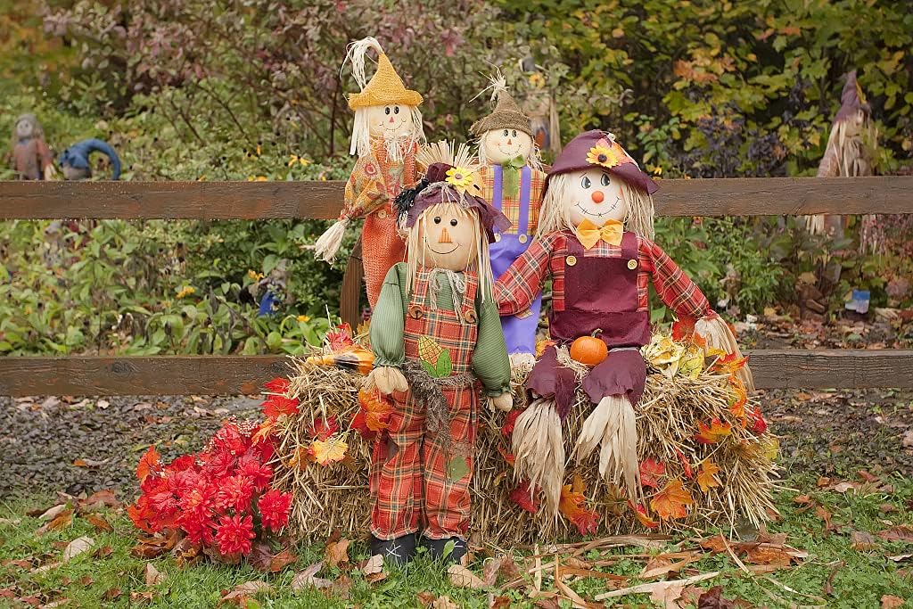 Aweyka 14 Pieces Halloween Scarecrow Costume Set Include Raffia Scarecrow Straw Kit Scarecrow Hat for Halloween Decoration Harvest Party Accessory : Toys & Games