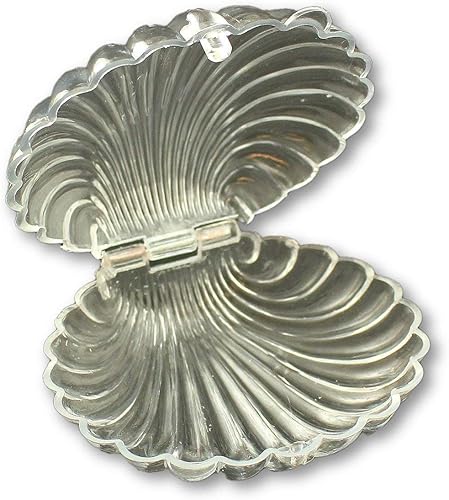 Plástico Clam conchas caja de fiesta Bulk 12piezas Playa tema favores, Transparente, 12
