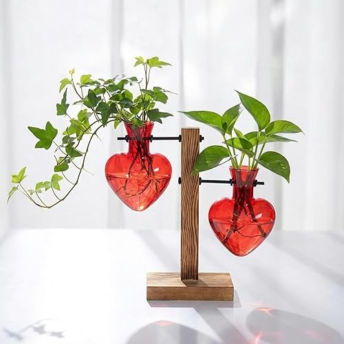 Remerry Red Heart Plant Terrarium with Wooden Stand 2 Heart