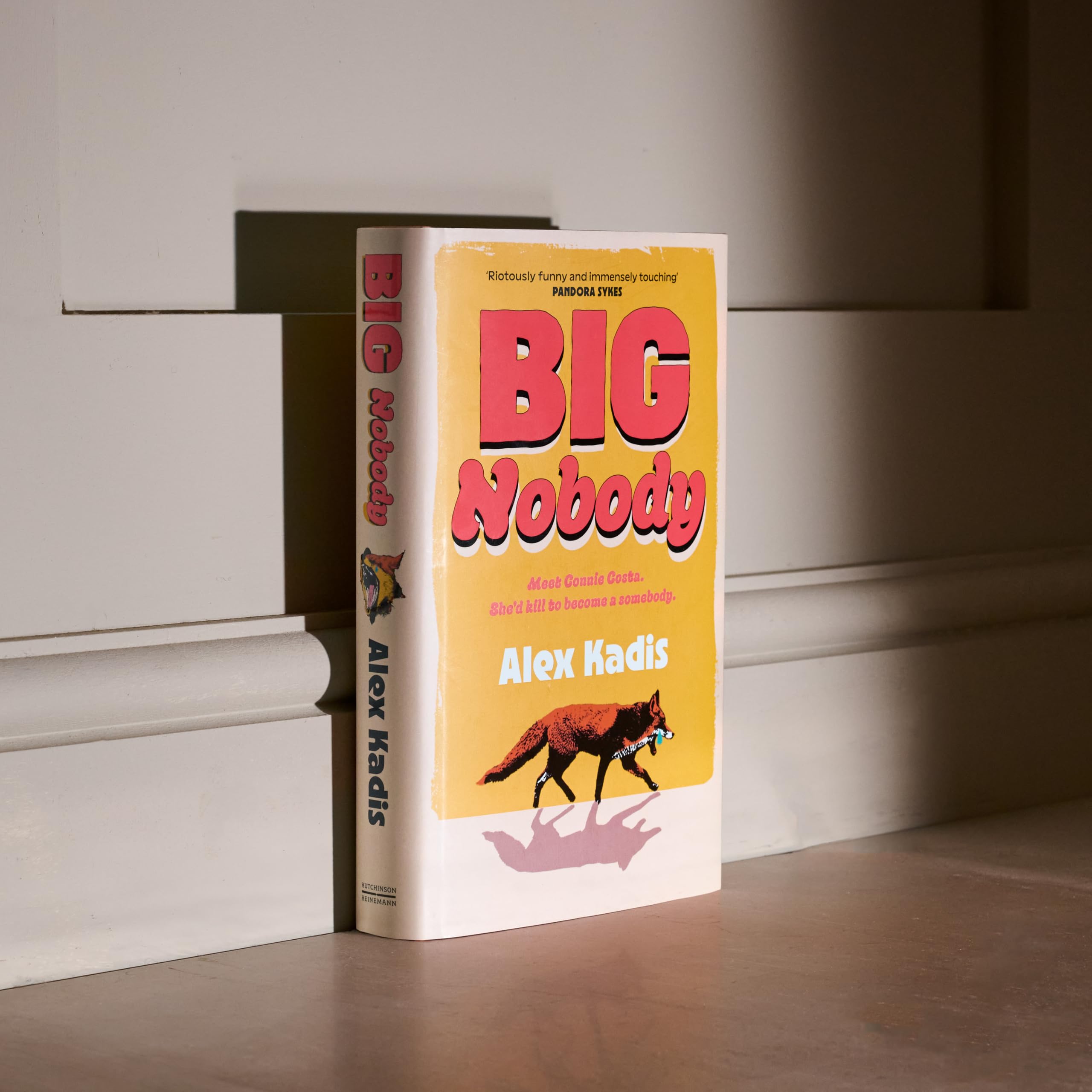 Big Nobody: The darkly funny new coming-of-age novel for fans of Bella Mackie and Derry Girls