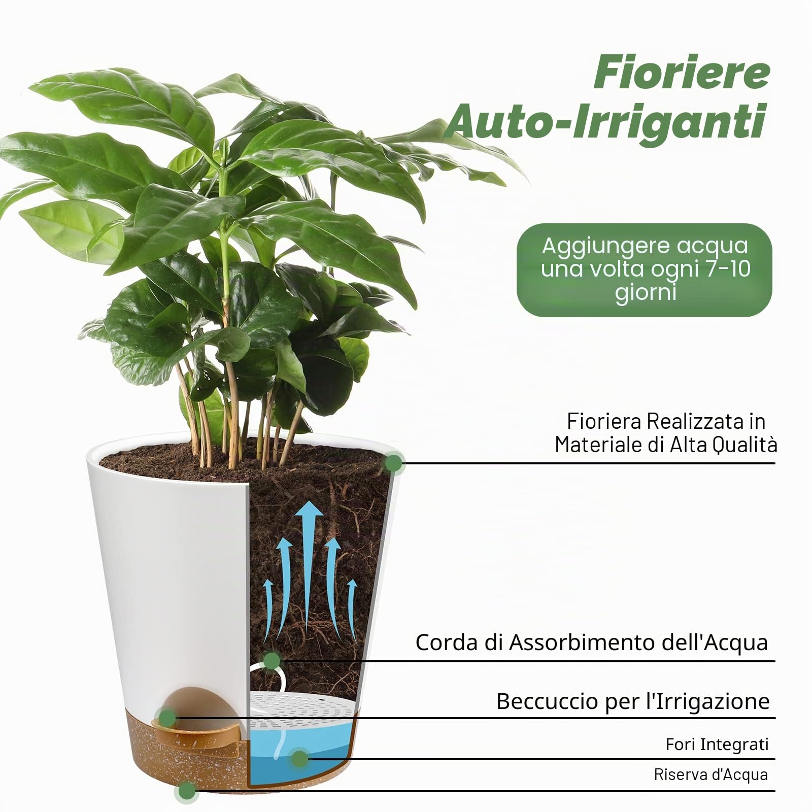 Ynnico - Vasi autoirriganti per piante da interni con fori di drenaggio e sottovasi, 20, 17, 16,5, 15,2, 14, 12,7 cm, confezione da 6 vasi, colore bianco