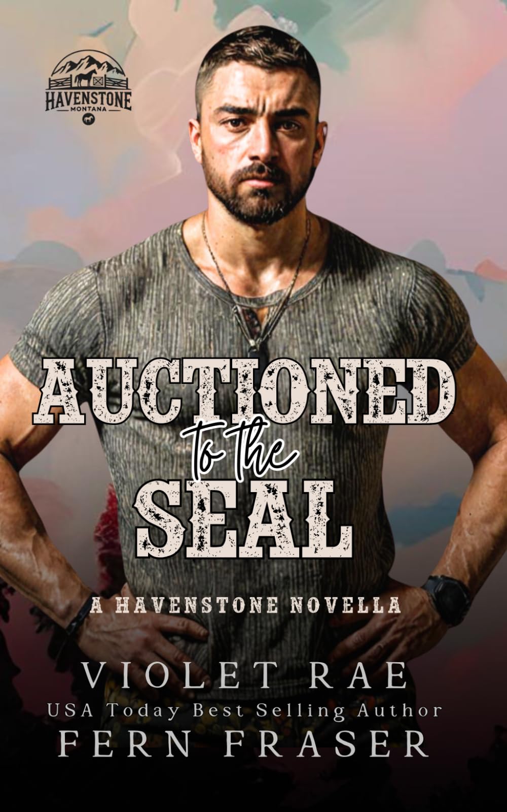 Auctioned to the SEAL: A Havenstone Romance (Havenstone™ — Einzelbände)