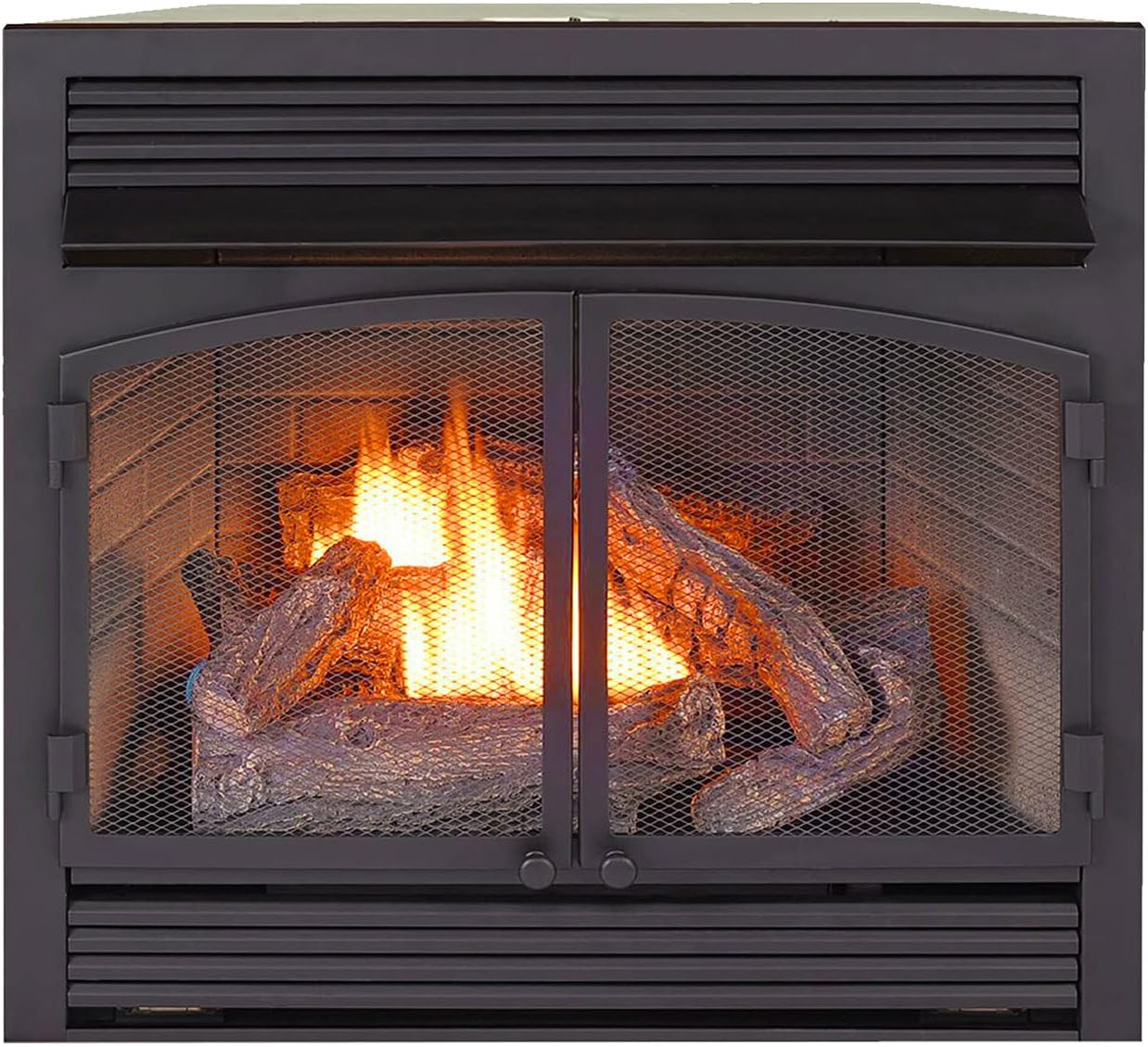 ProCom Dual Fuel Ventless Gas Fireplace Insert - 32,000 BTU, Remote Control - Model A-FBNSD400RT-ZC,Black