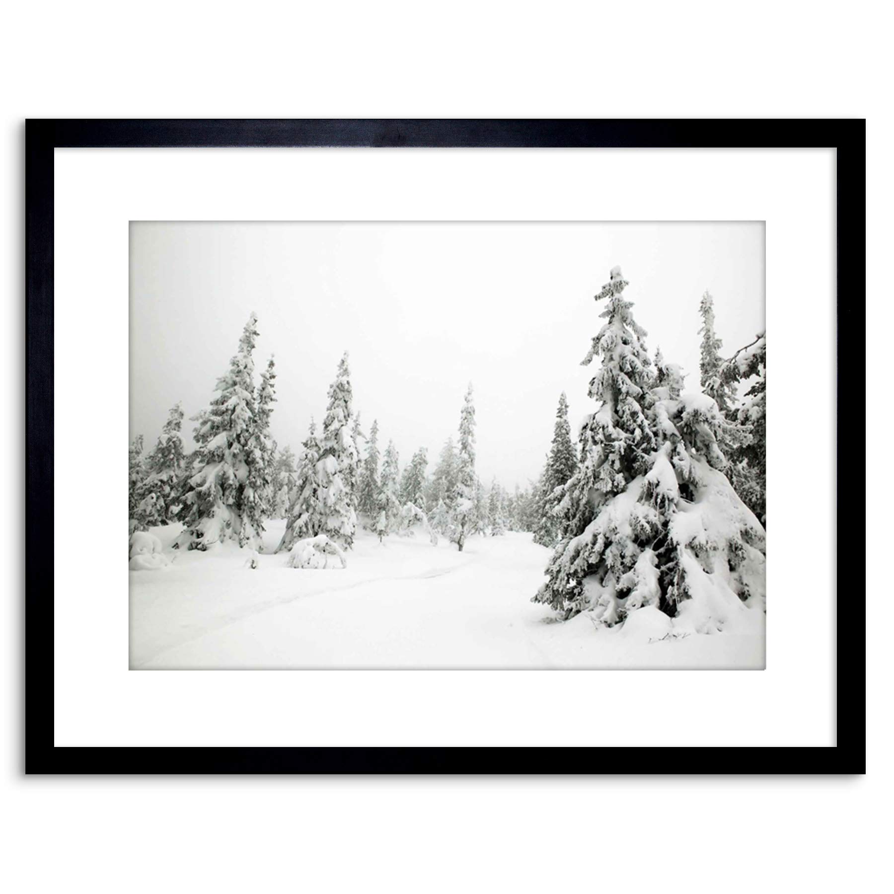 Wee Blue Coo PHOTO LANDSCAPE WINTER SCENE SNOW FOREST TREES FRAMED PRINT F97X5584