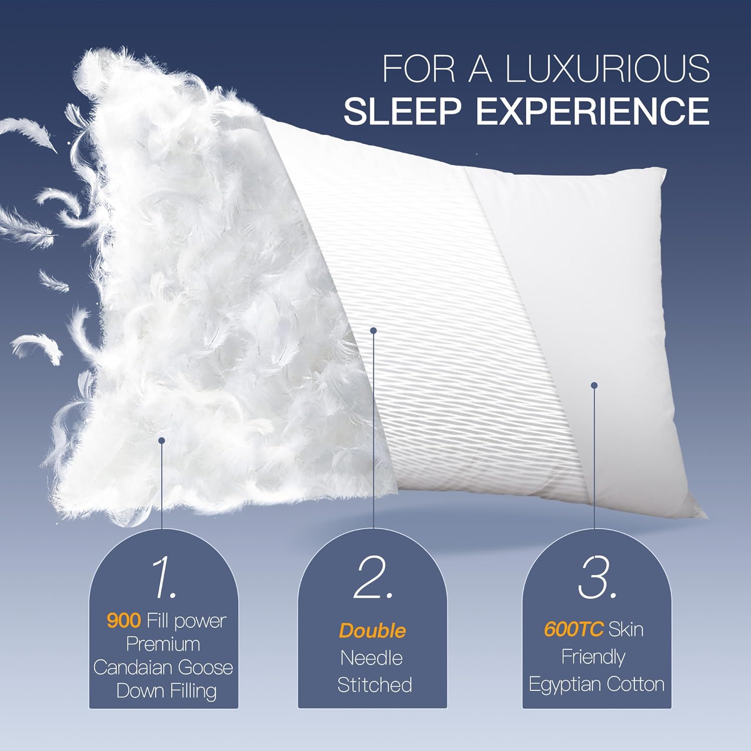 Deals! Deals! Deals! 