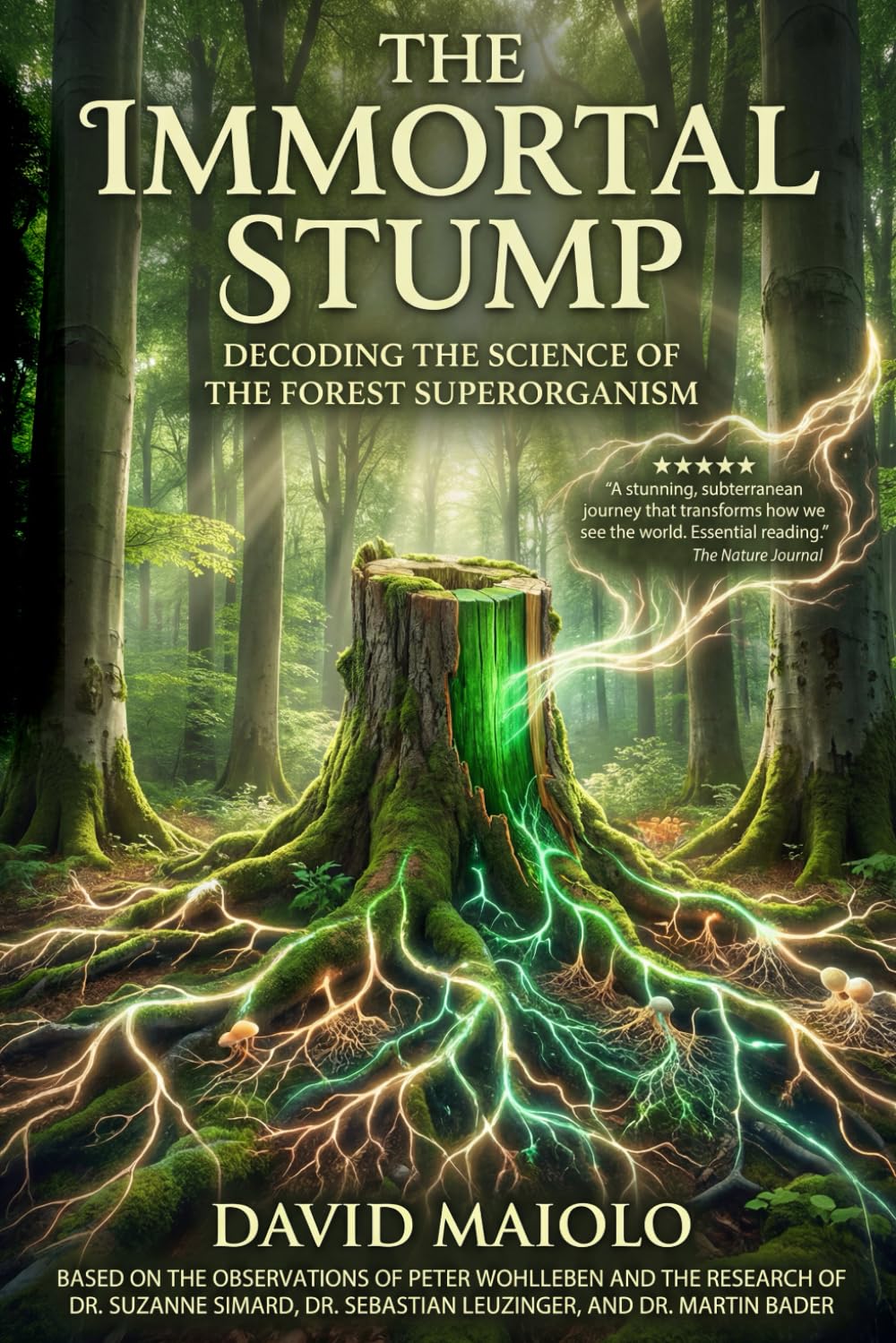 The Immortal Stump: Decoding the Science of the Forest Superorganism