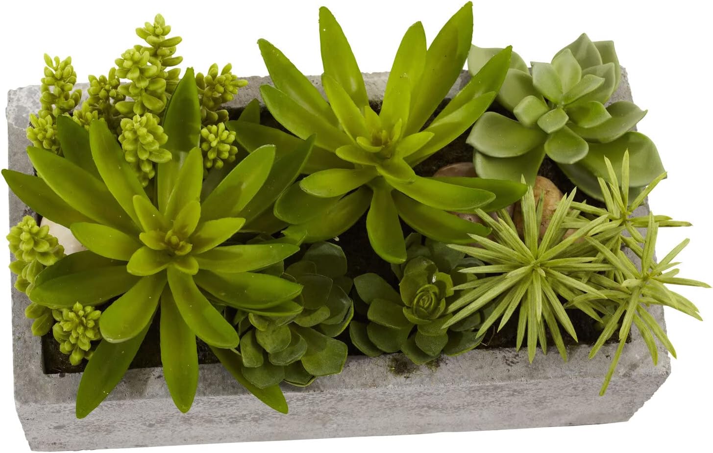 Decorative Outdoor Tabletop Succulent Ensemble in Cement Planter