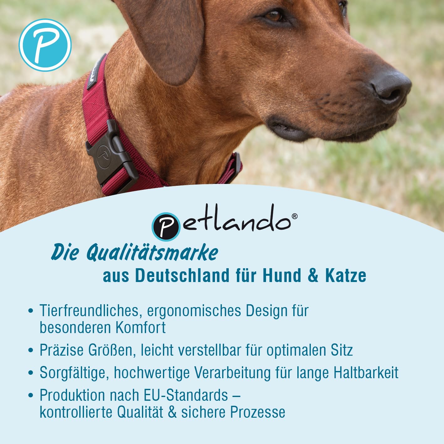 Petlando Hundegeschirr Mesh Vest, leichtes Brustgeschirr aus weichem Mesh & Nylon, stufenlos verstellbar, reflektierend mit 2 D-Ringen, Cognac XL, Geschirr Hund gepolstert