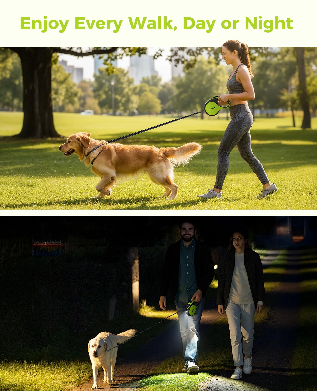 Pecute Laisse Chien Enrouleur 8m, avec Lampe LED Rechargeable，Laisses Rétractables pour Chiens(Jusqu'à 50Kg), avec Un Boutton S'arrêter Bloquer, Ruban en Nylon avec Coutures Réfléchissantes
