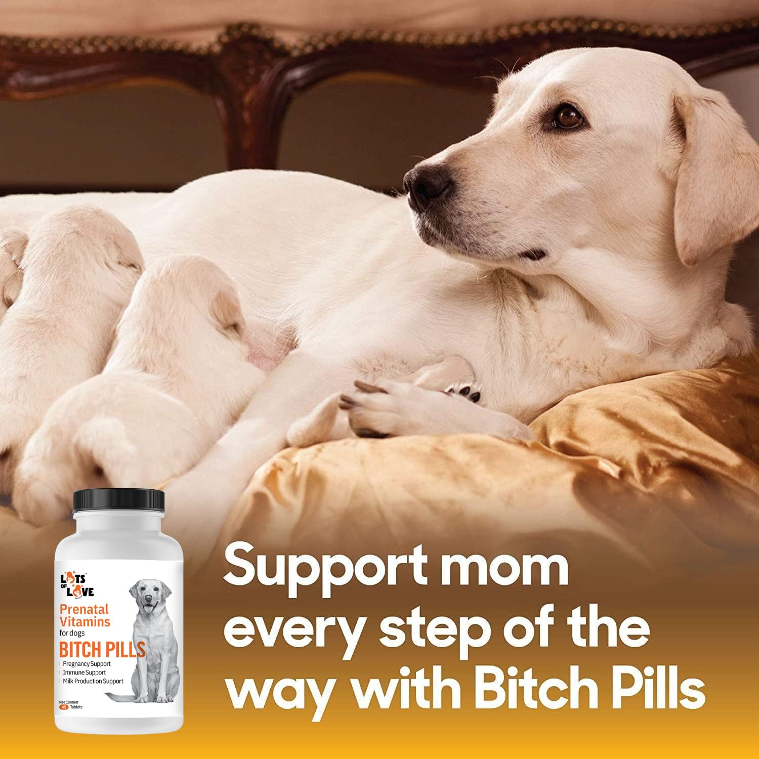 Bitch Pills - Pregnant Dog Prenatal Vitamins - 45 Tablets — Amazon image 3