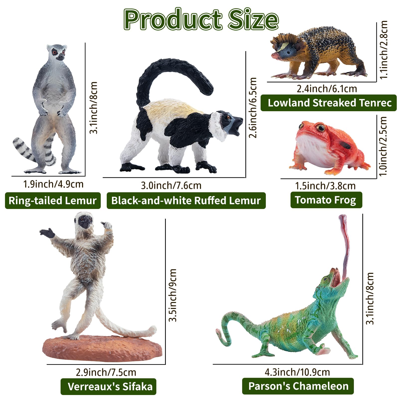 TOYMANY 12 sztuk figurek zwierząt leśnych, realistyczne zabawki Madagaskar, plastikowe zwierzęta, zwierzęta z dzikiej dżungli, figurki zwierząt z zoo, dekoracja tortu, prezent