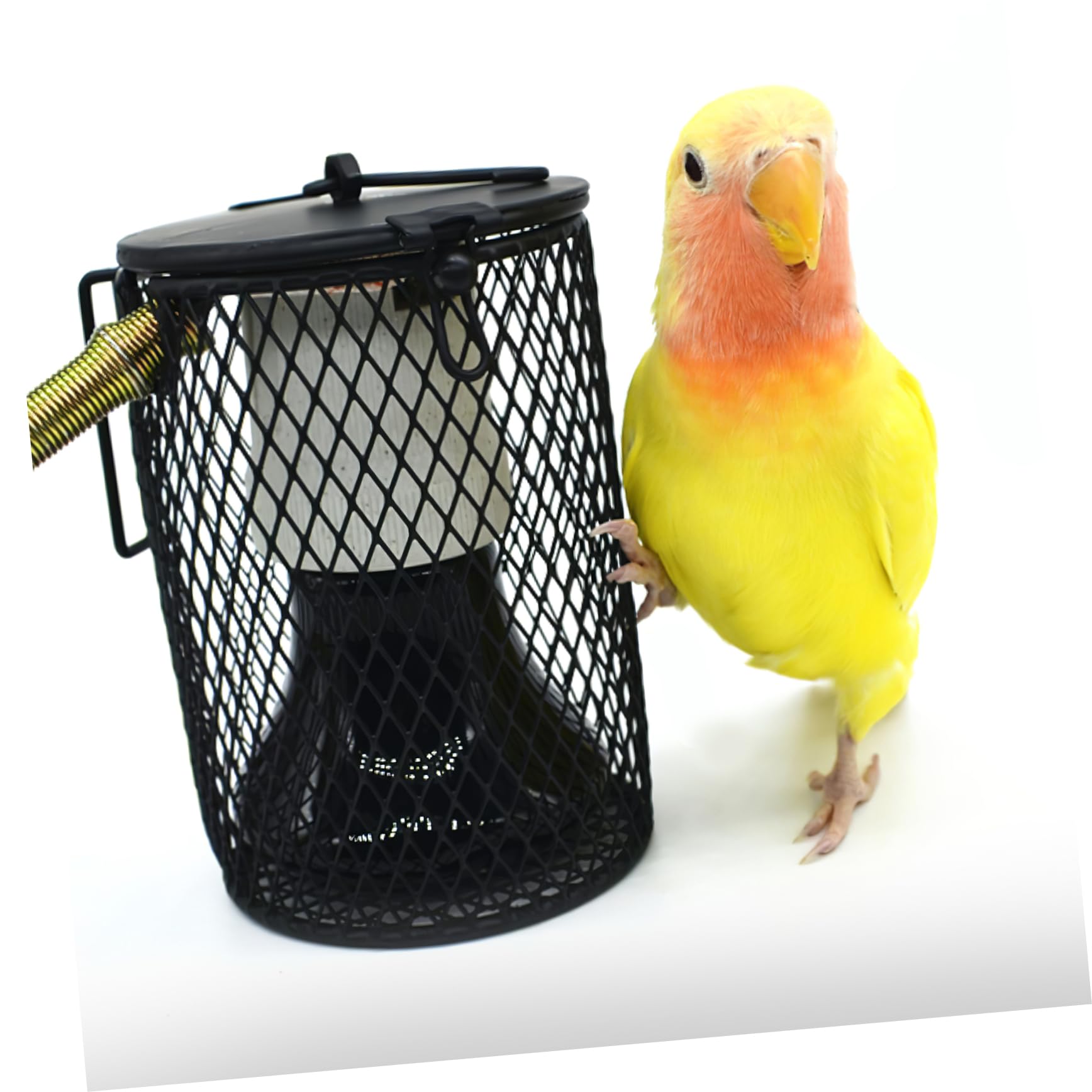 COLLBATH 3 Pezzi Griglia per Lampada Riscaldante Rettili Kit Lampada per Uccelli Paralume per Rettili Lampadina per Riscaldante i Recinto Oscurato Zoo Animali