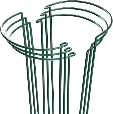 HiGift Plant Support Stakes, 6 Pack Metal Peony Cages and Supports, Garden Stakes Plant Support Cage, Large Plant Support Ring for Outdoor Indoor Snake Plant Peony Rose Flowers Vine (10" W x 15.8" H)