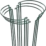 HiGift Plant Support Stakes, 6 Pack Metal Peony Cages and Supports, Garden Stakes Plant Support Cage, Large Plant Support Ring for Outdoor Indoor Snake Plant Peony Rose Flowers Vine (10