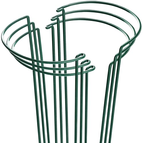 HiGift Plant Support Stakes, 6 Pack Metal Peony Cages and Supports, Garden Stakes Plant Support Cage, Large Plant Support Ring for Outdoor Indoor Snake Plant Peony Rose Flowers Vine (10" W x 15.8" H)
