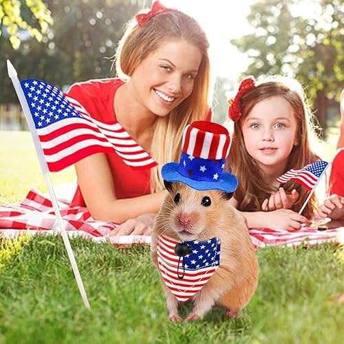Miniatura 10 de CooShou Disfraz del Día de la Independencia de las Mascotas del 4 de julio, sombrero de conejillo de indias y bandana con diseño de estrellas y