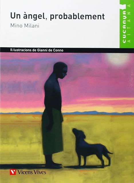 Portada de 16. Un Àngel Probablement