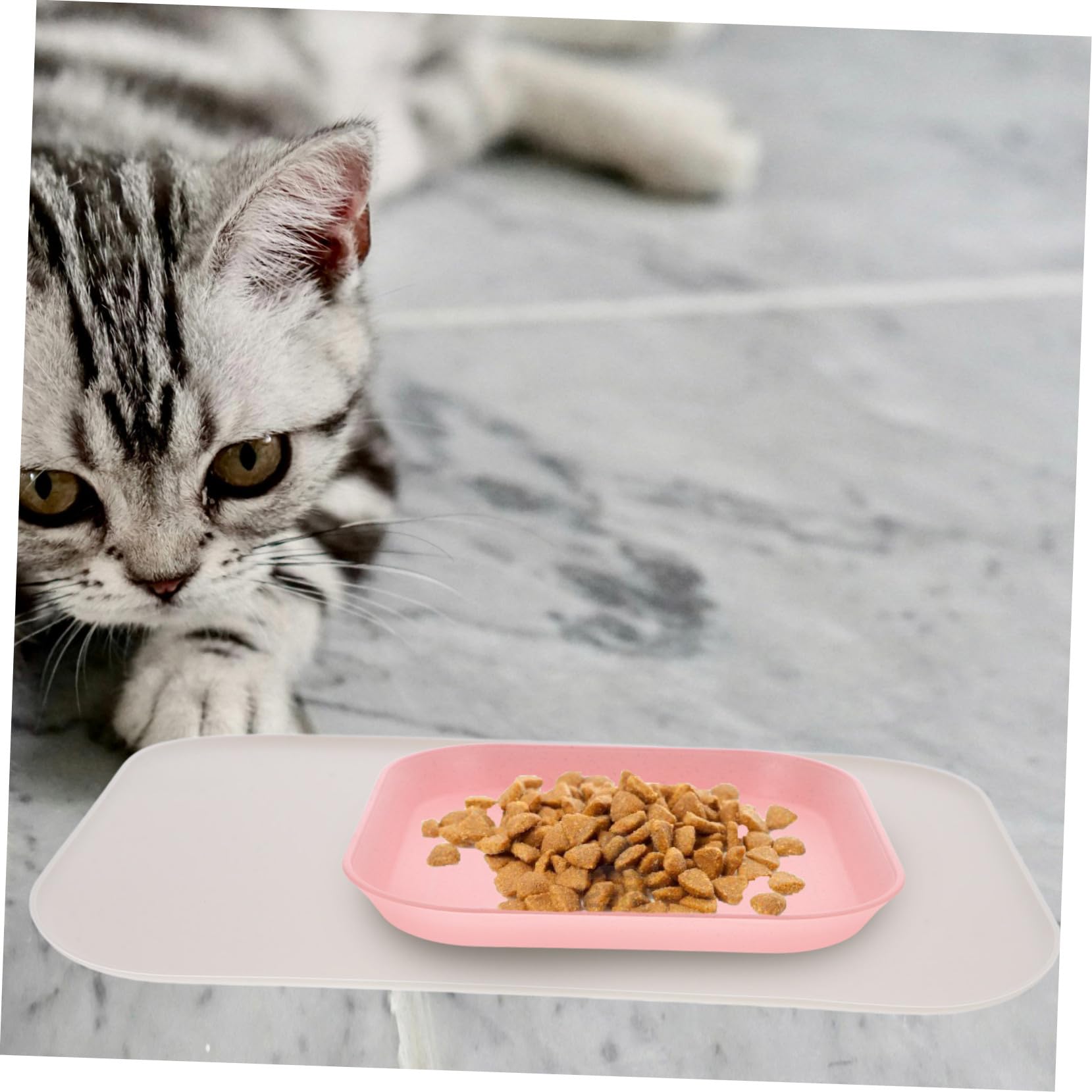 INOOMP 5stücke Erhöhte wasserdichte Silikon-pet-futtermatte Mit Rutschfestem Design Für Katzen Und Hunde Schützt Boden Vor Verschütten Und Wasser