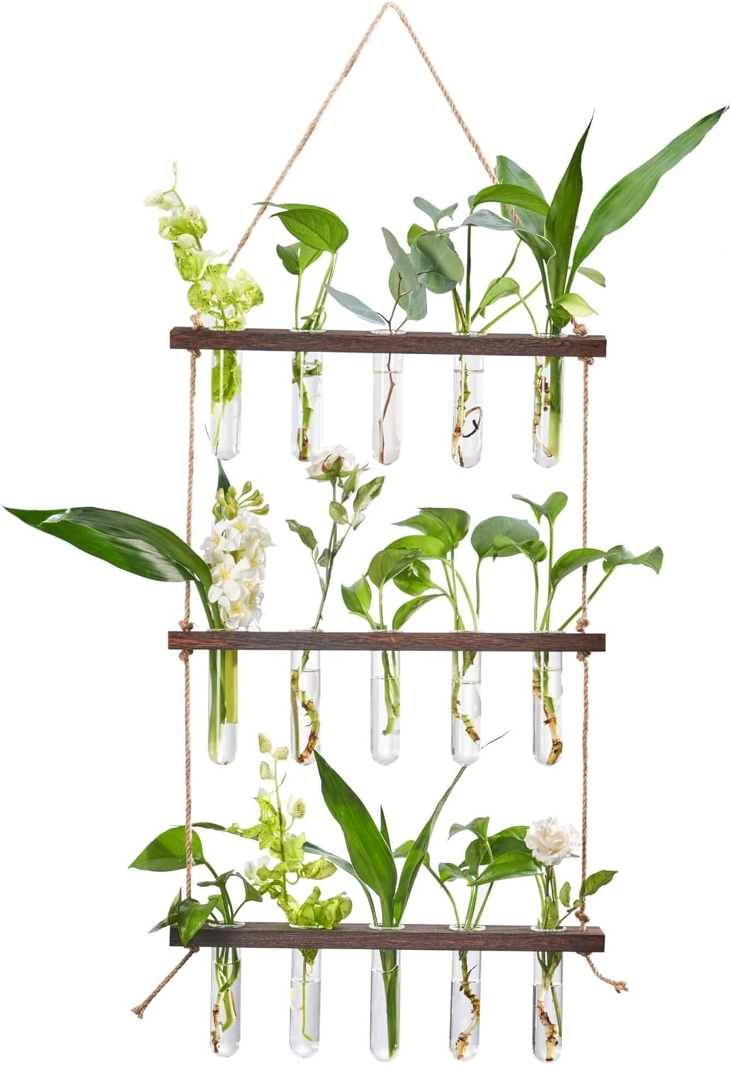 BlogBlog Propagation Station Terrarium Hanging Glass Wall