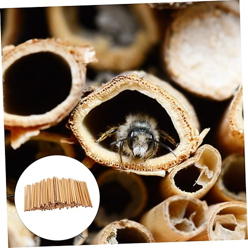 Miniatura 4 de Unomor 100 Pcs Mason Bee Tube Cardboard Bee House Tubes Coffee Alternative Bee Habitat Bee Tubes Beekeeper Bee Hive Coffee Substitute Bee Supplies