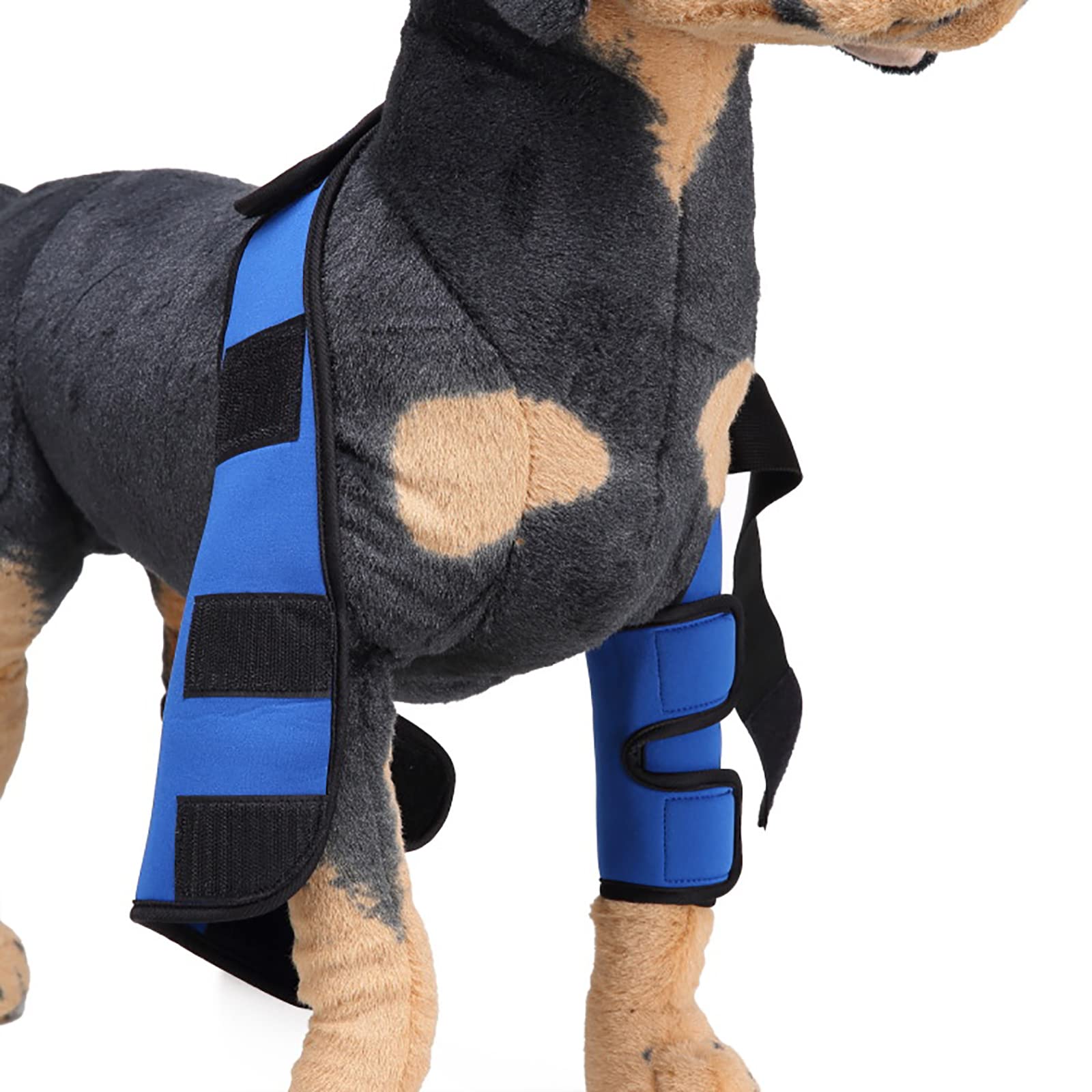 Manchon de récupération pour chien après une chirurgie, attelle de jambe avant réglable pour chien, support de compression de patte canine, épaule, protège les plaies pour la guérison, prévient les